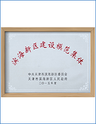 濱海新區(qū)建設模范集體