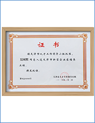 天津市新型企業(yè)家培養(yǎng)工程